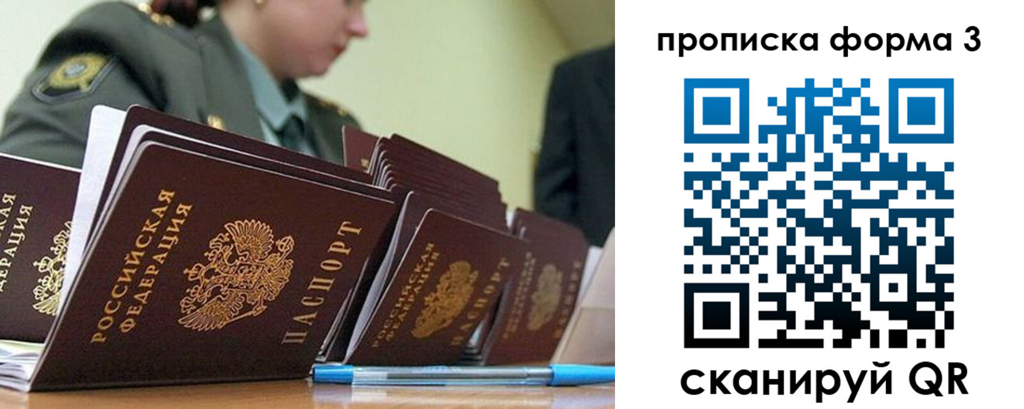прописка 2025 в Светлогорске